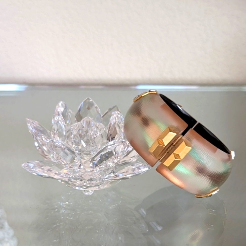 Alexis Bittar NWOT Wide Lucite Southwestern-Hued Bangle With Crystals - Picture 2 of 11